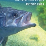 Identification Guide to the Inshore Fish of the British Isles