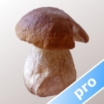 Myco Pro