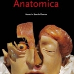Encyclopaedia anatomica
