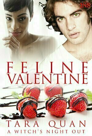Feline Valentine (A Witch’s Night Out, #4)
