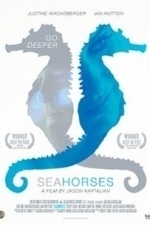 Seahorses (2016)