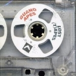 Lost Tapes by Guano Apes