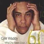 Wha&#039;Cha Been Doin&#039;? by Gyle Waddy