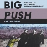 The Big Push: Exposing and Challenging Sustainable Patriarchy