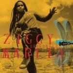 Dragonfly by Ziggy Marley