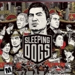 Sleeping Dogs 