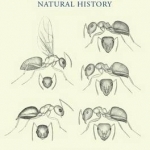 Ants of Florida: Identification and Natural History