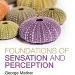 Foundations of Sensation and Perception