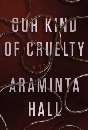 Our Kind of Cruelty: A Novel