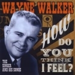 How Do You Think I Feel?: The Singer and His Songs by Wayne Walker