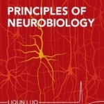 Principles of Neurobiology