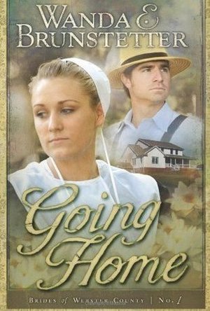Going Home (Brides of Webster County,#1)