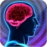 Anatomy Of The Brain 2D/3D