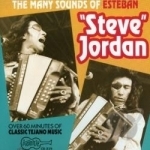 Many Sounds of Steve Jordan by Esteban Steve Jordan
