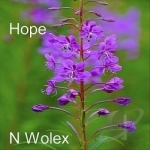 Hope by N Wolex