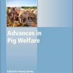 Advances in Pig Welfare