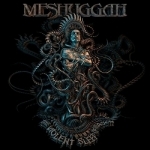 The Violent Sleep Of Reason by Meshuggah
