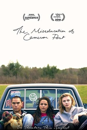 The Miseducation of Cameron Post (2018)