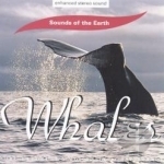 Whales Soundtrack by Sounds Of The Earth