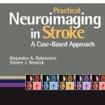 Practical Neuroimaging in Stroke: A Case-based Approach