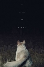 It Comes At Night (2017)