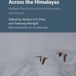 Bird Migration Across the Himalayas: Wetland Functioning Amidst Mountains and Glaciers