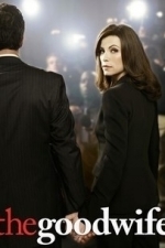 The Good Wife  - Season 1