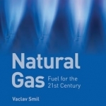 Natural Gas: Fuel for the 21st Century