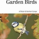 Naturalst&#039;s Guide to the Garden Birds of Britain &amp; Northern Europe