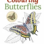 Colouring Butterflies
