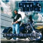 Uncorrectable by Little Bruce