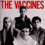 Come of Age by The Vaccines