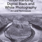 Understanding Digital Black and White Photography: Art and Techniques