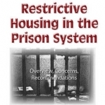 Use of Restrictive Housing in the Prison System: Overview, Concerns, Recommendations