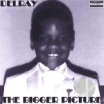 Bigger Picture by Delray