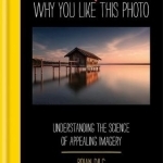 Why You Like This Photo: The Science of Perception, and How We Understand Photographs