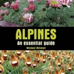 Alpines: An Essential Guide