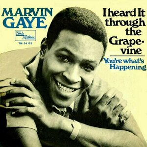I Heard It Through The Grape Vine by Marvin Gaye