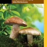 Foraging Mushrooms Maine: Finding, Identifying, and Preparing Edible Wild Mushrooms