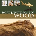 Sculpting in Wood