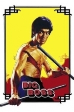 The Big Boss (Tang shan da xiong) (1972)