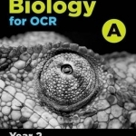 A Level Biology for OCR Year 2 Student Book: Year 2