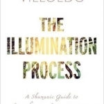 The Illumination Process: A Shamanic Guide to Transforming Toxic Emotions into Wisdom, Power and Grace