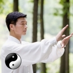 Qigong Guide - Everything You Need To Know About Qi Gong !
