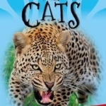 It&#039;s All About... Wild Cats