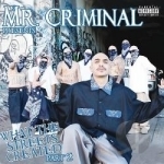 What the Streets Created, Pt. 2 by MR Criminal
