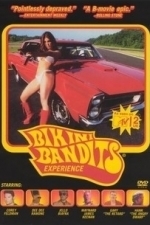 Bikini Bandits: The Movie (2002)