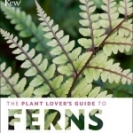 The Plant Lover's Guide to Ferns