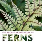 The Plant Lover&#039;s Guide to Ferns