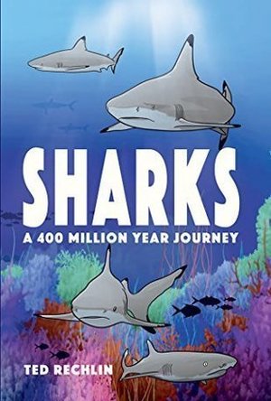 Sharks: A 400 Million Year Journey